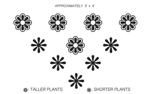 GARDEN SHACK ANNUAL HUMMINGBIRD PACK (FOR SUN)