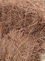MULCH, PINE STRAW (NEEDLES) BALED