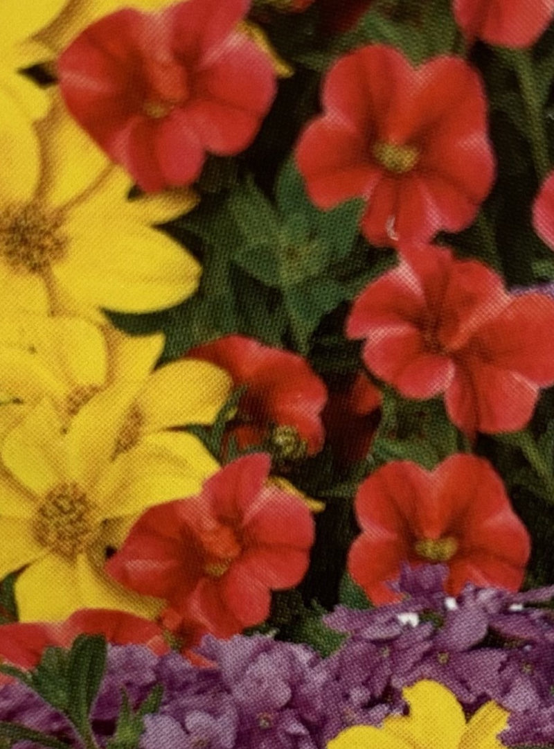 COMBINATION CG, FLEUR DE EDNA