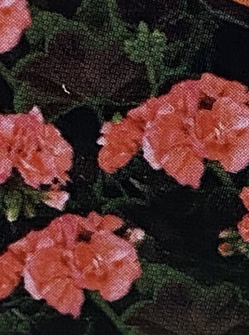 GERANIUM, BROCADE SALMON NIGHT