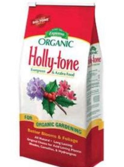 HOLLY TONE, ESPOMA