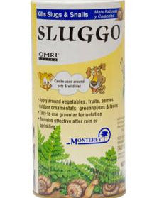 SLUGGO, MONTEREY