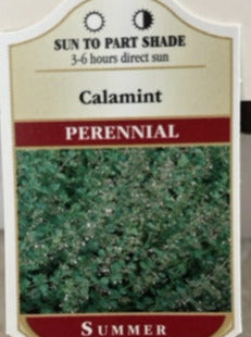 CALAMINTHA NEPETA