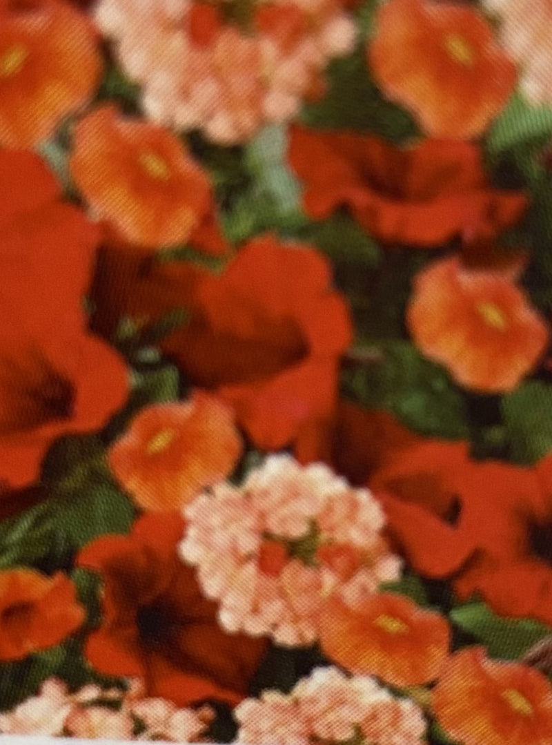 COMBINATION CG, BEL AIR RED