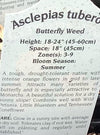 ASCLEPIAS TUBEROSA (BUTTERFLY MILKWEED)