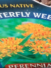 ASCLEPIAS TUBEROSA (BUTTERFLY MILKWEED)