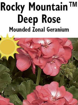 GERANIUM, ROCKY MOUNTAIN DEEP ROSE