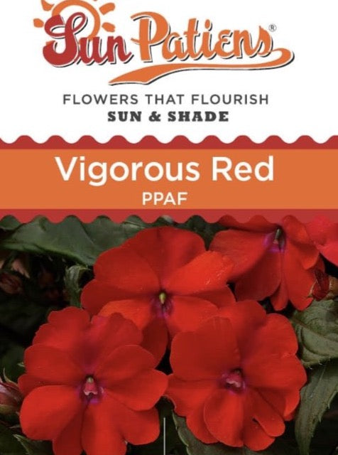 IMPATIENS, N G SUNPATIENS VIGOROUS RED