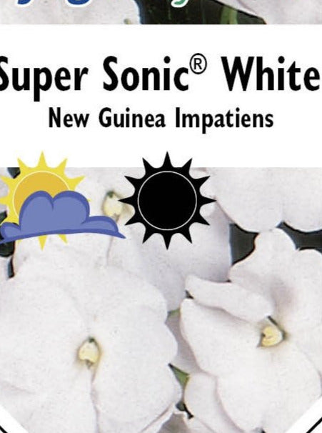 IMPATIENS, NEW GUINEA SUPER SONIC WHITE