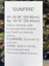 COREOPSIS, SUNFIRE (TICKSEED)