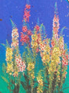 VERBASCUM, SOUTHERN CHARM (MULLEIN)