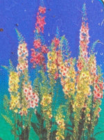 VERBASCUM, SOUTHERN CHARM (MULLEIN)