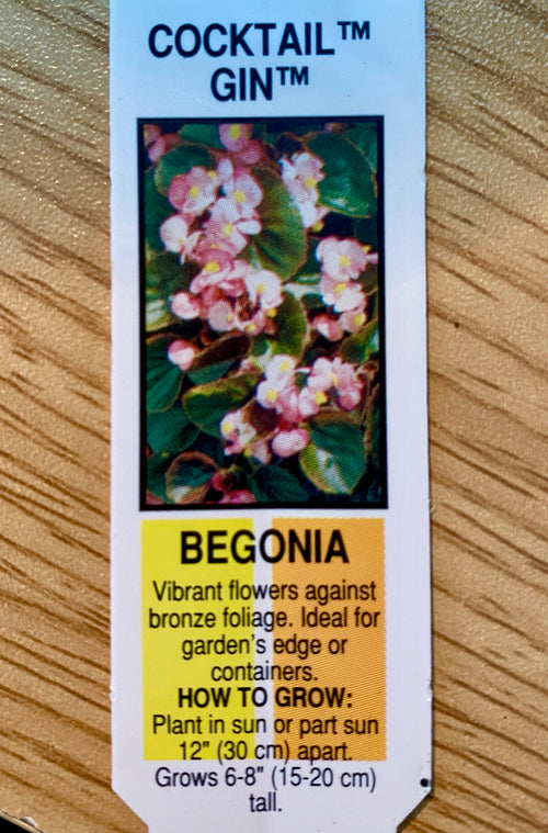 BEGONIA, COCKTAIL GIN