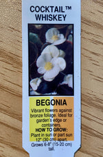 BEGONIA, COCKTAIL WHISKEY