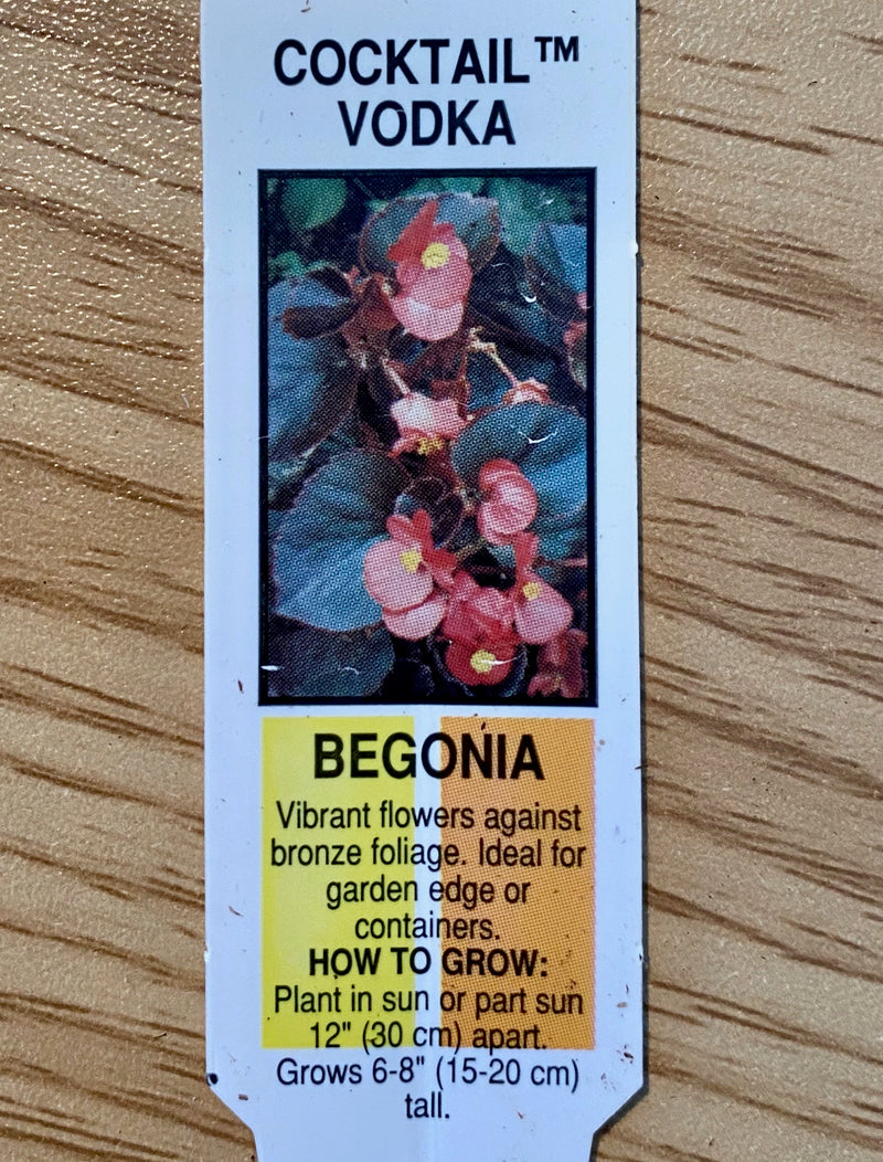 BEGONIA, COCKTAIL VODKA