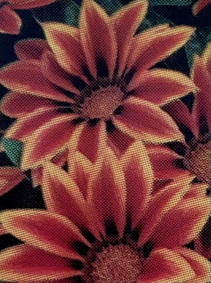 GAZANIA, KISS ORANGE FLAME