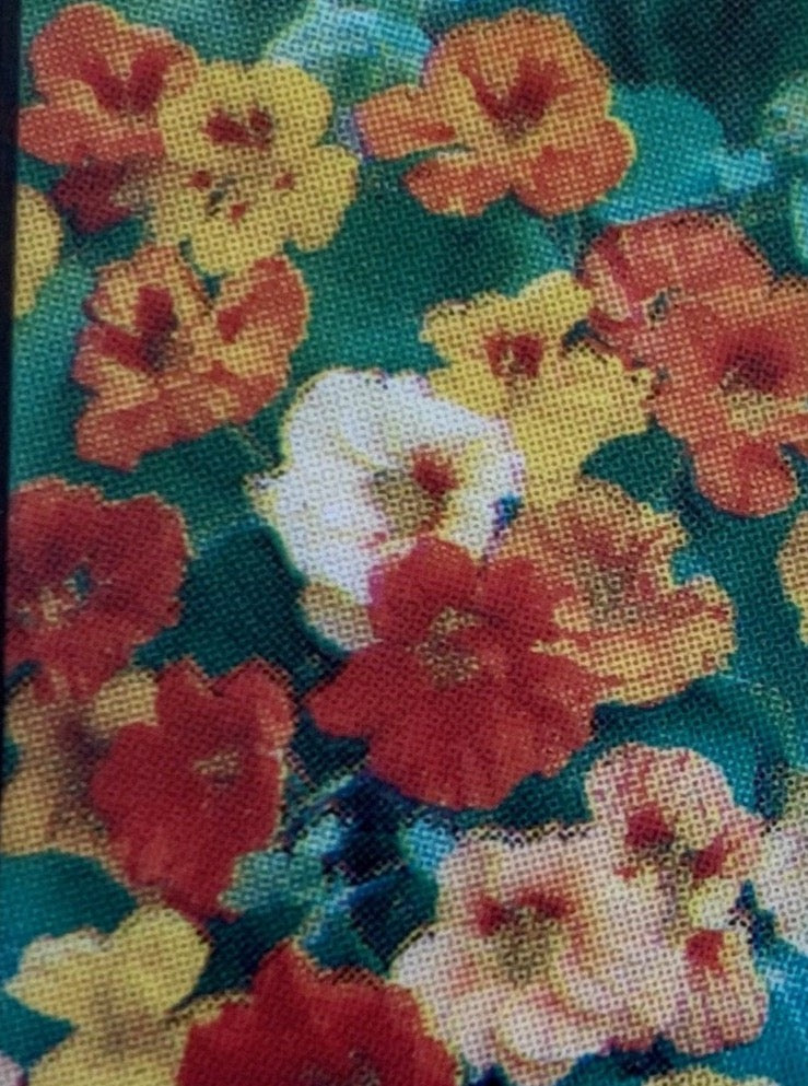 NASTURTIUM, JEWEL MIX