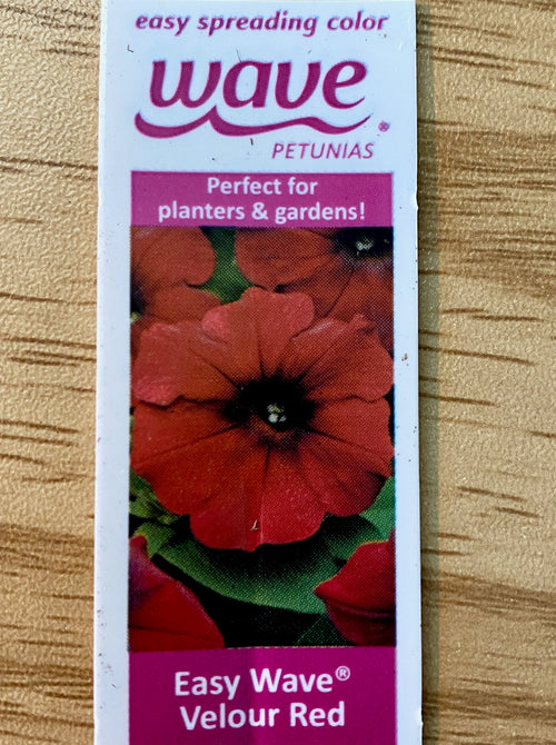 PETUNIA, EASY WAVE VELOUR RED