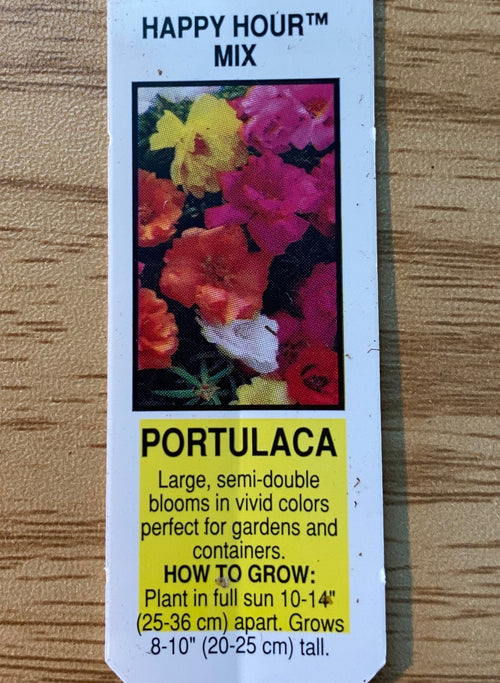 PORTULACA, HAPPY HOUR MIX