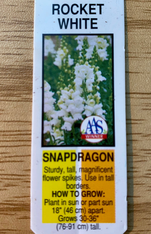 SNAPDRAGON, ROCKET WHITE
