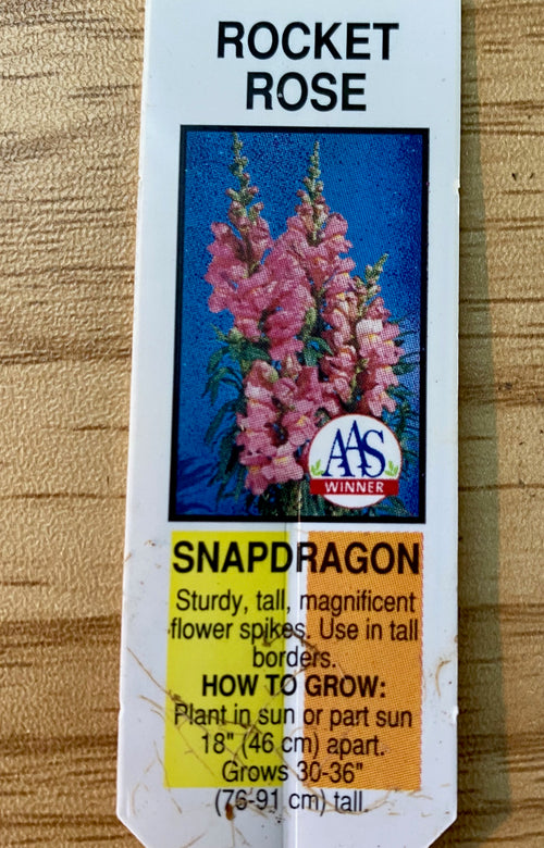 SNAPDRAGON, ROCKET PINK