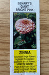 ZINNIA, BENARY'S GIANT BRIGHT PINK