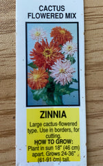 ZINNIA, CACTUS FLOWERED MIX