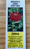 ZINNIA, BENARY'S GIANT DEEP RED