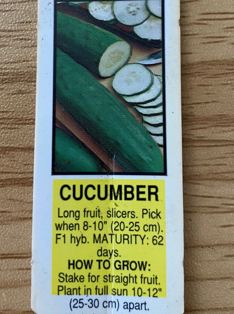 CUCUMBER, BURPLESS