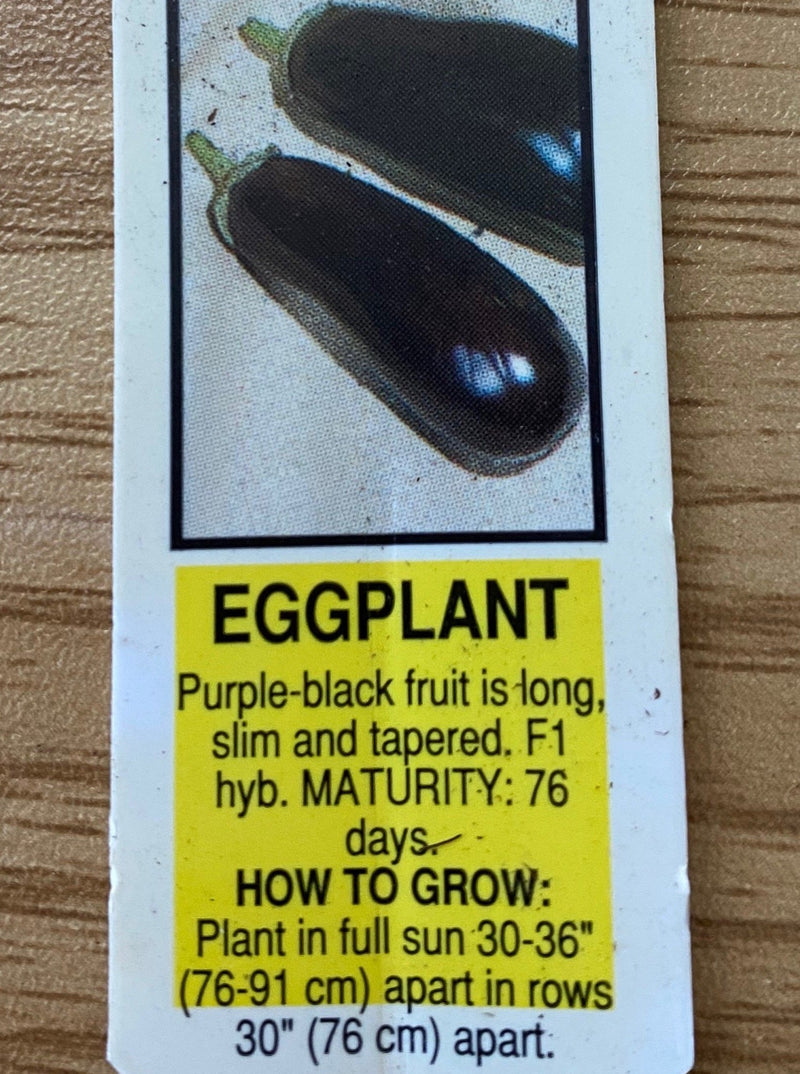 EGGPLANT, CLASSIC