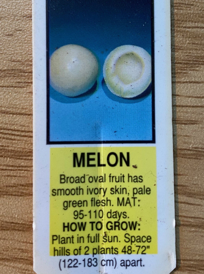 MELON, DREAM DEW HONEYDEW