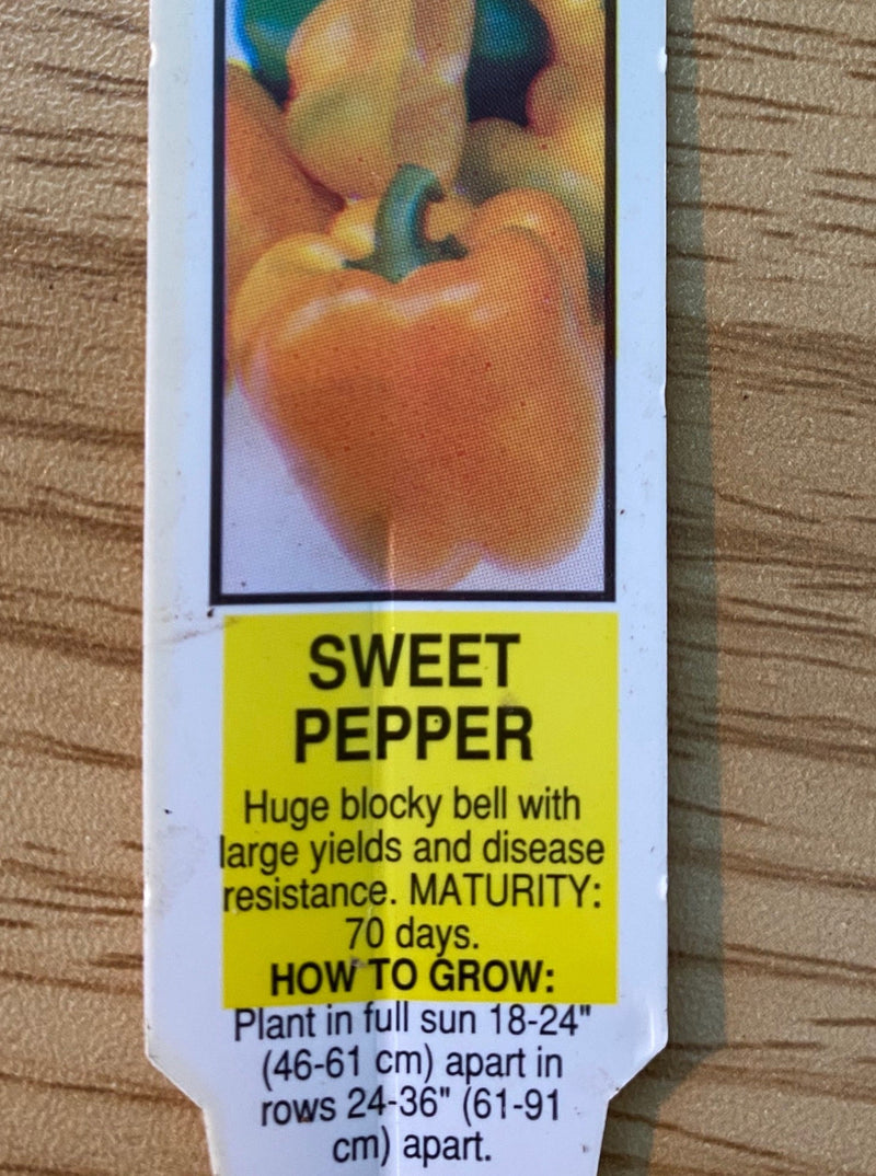 PEPPER, EARLY SUNSATION