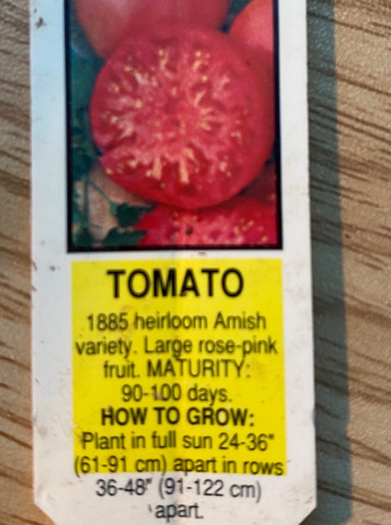 TOMATO, BRANDYWINE