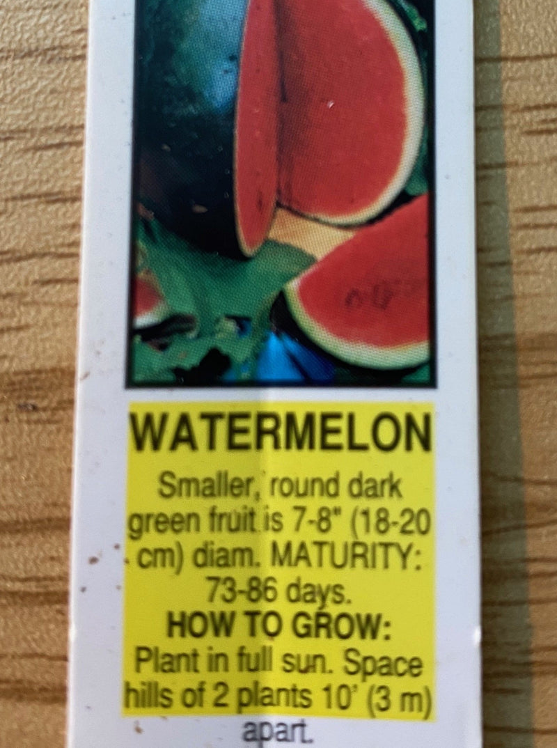 WATERMELON, SUGAR BABY