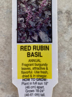 BASIL, RED RUBY
