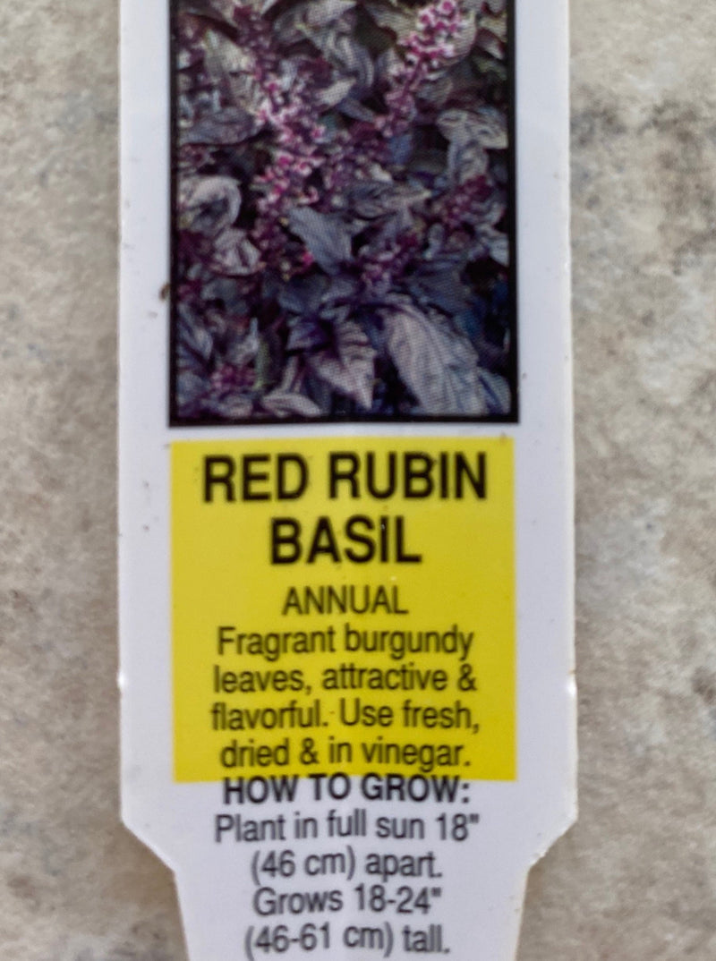 BASIL, RED RUBY