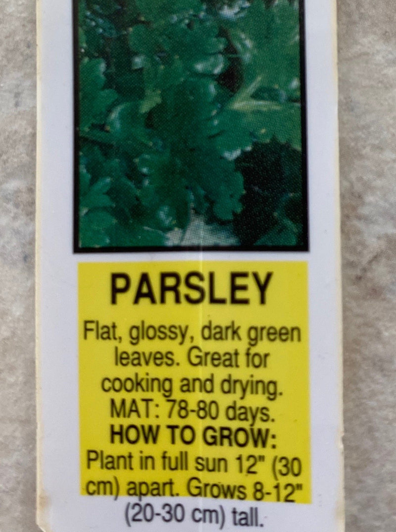 PARSLEY, ITALIAN