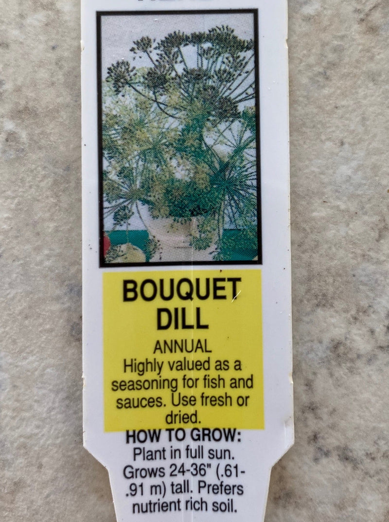 DILL, BOUQUET