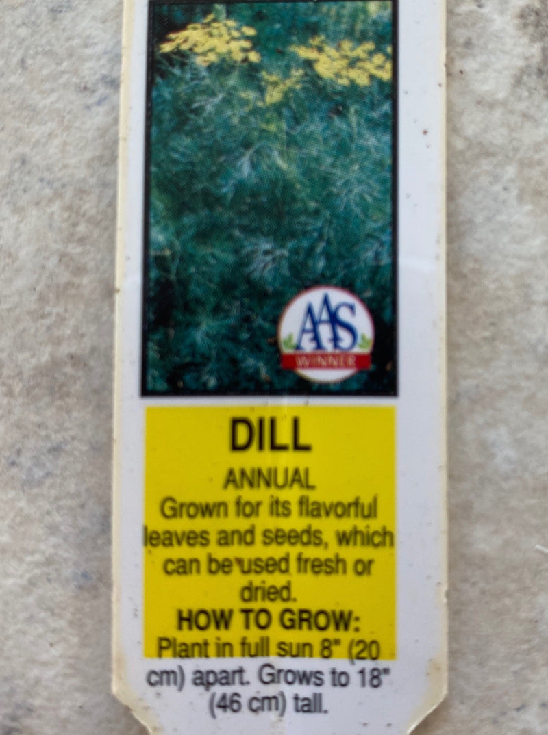 DILL, FERNLEAF