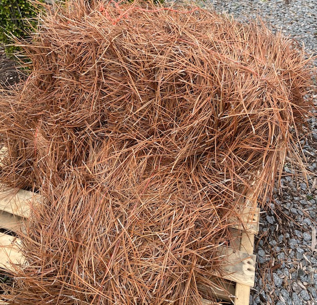 Long Leaf Pine Needles Delivered & Spread - Pine Needle Store