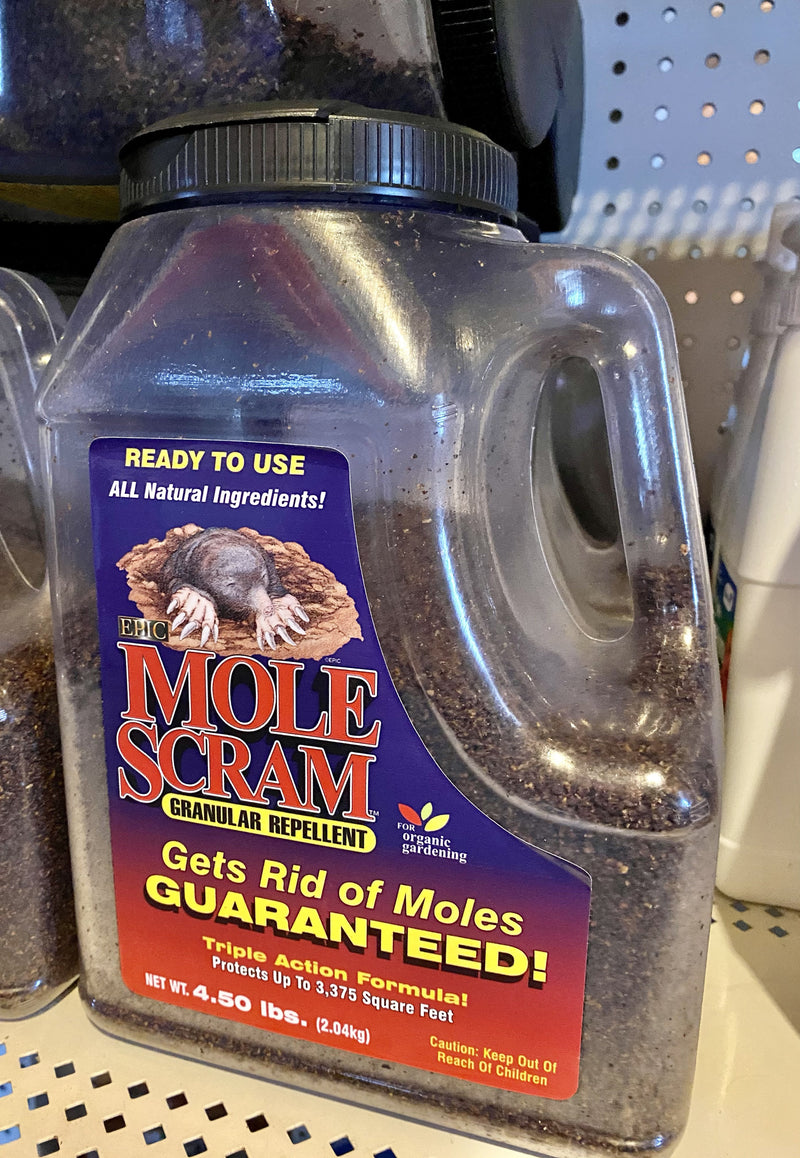 MOLE SCRAM