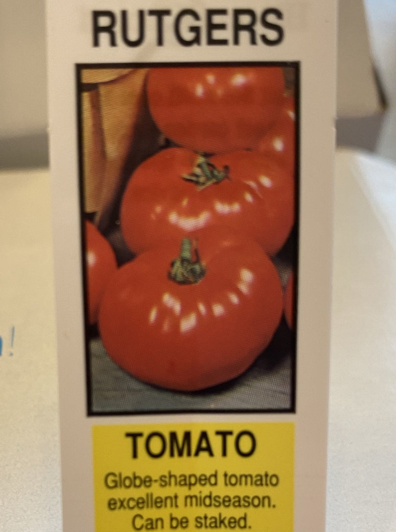 TOMATO, RUTGERS