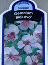 GERANIUM BIOKOVO (CRANESBILL)