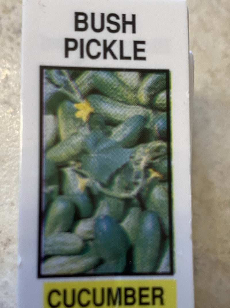 CUCUMBER, BUSH PICKLE
