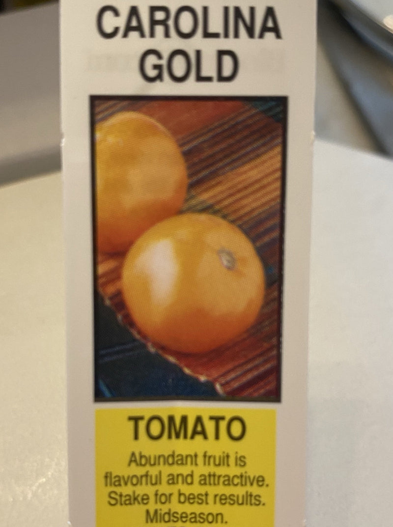 TOMATO, CAROLINA GOLD