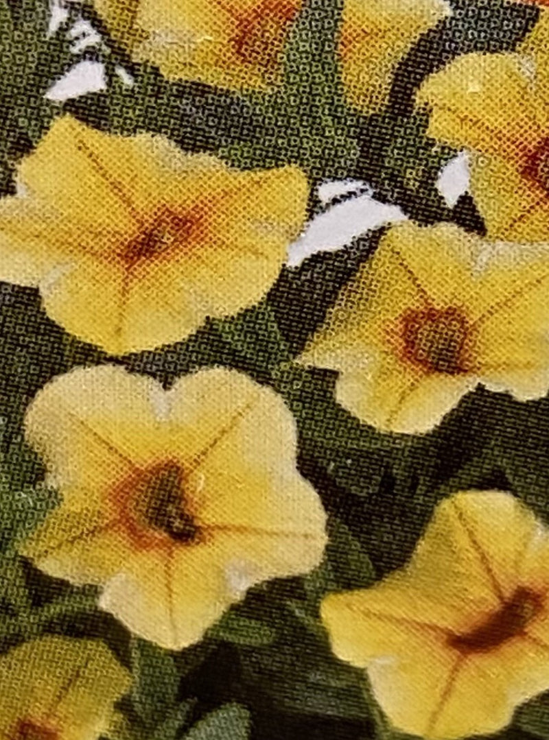 CALIBRACHOA, ALOHA KONA PINEAPPLE