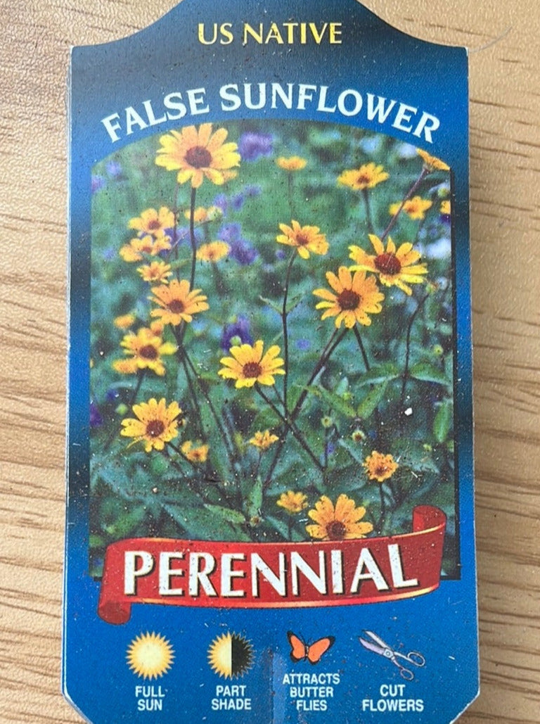 HELIOPSIS HELIANTHOIDES (OXEYE SUNFLOWER)