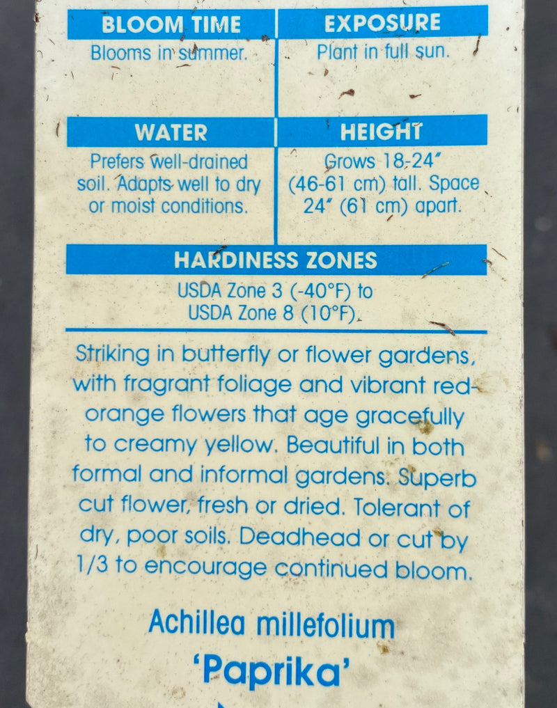 ACHILLEA, PAPRIKA (YARROW)