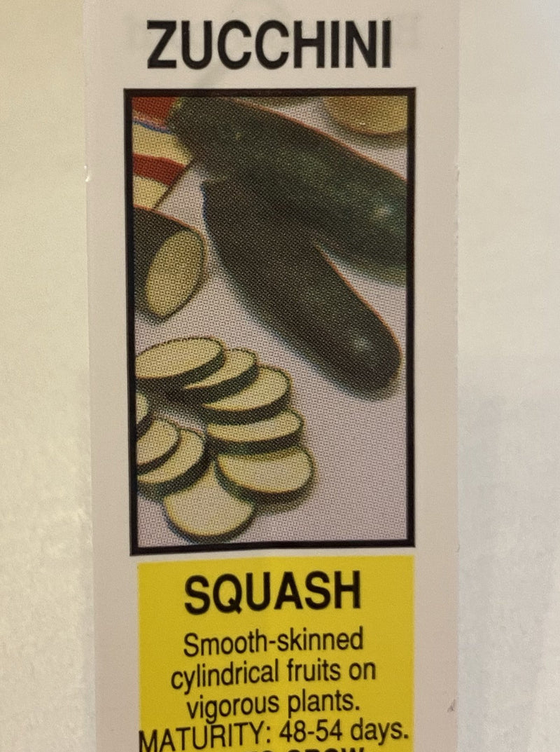 SQUASH, ZUCCHINI